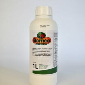 borneo (9962P/B) acaricide 1 liter spintmijten etoxazool