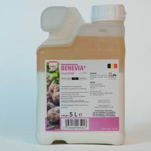 Benevia (10762P/B) cyantranniliprole geïntegreerde teelt breedwerkend insecticide vrtende zuigende oinsecten